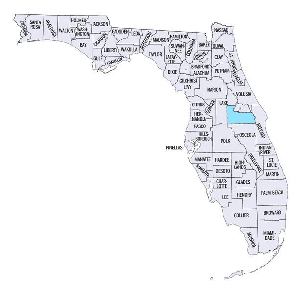 Mobile Notary Service In Orange County Traveling Notary Service